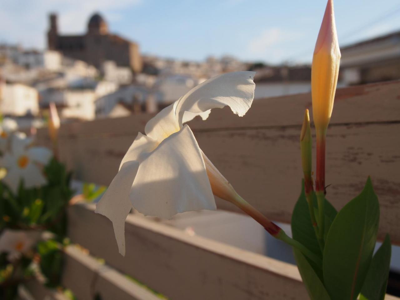 Hotel Abaco ألتيا المظهر الخارجي الصورة